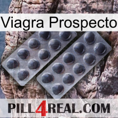 Prospecto Viagra 31